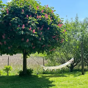 Idylisches Mit Reh Worthsee
